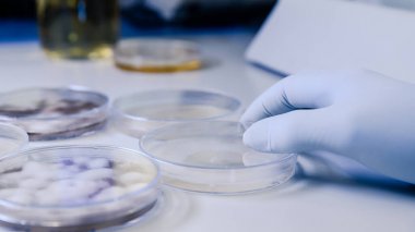 NAD-蘋(píng)果酸脫氫酶活性檢測試劑盒圖示