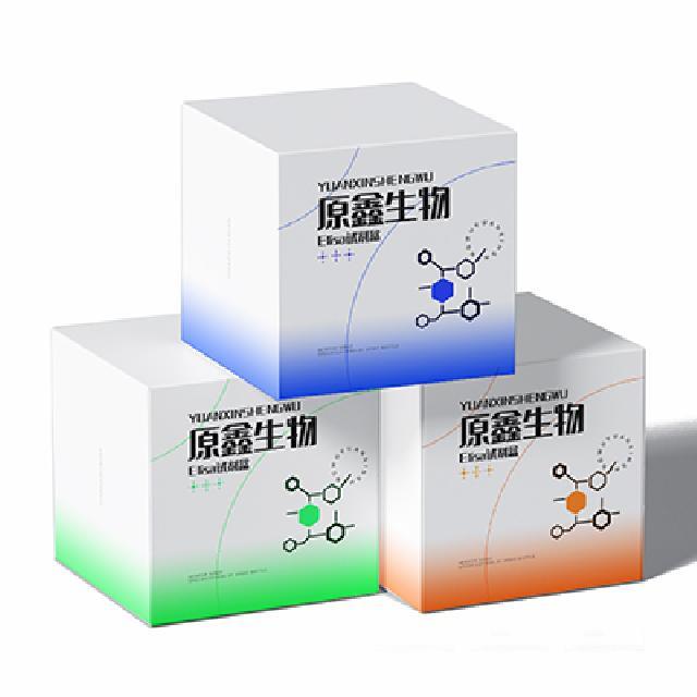 硫氧還蛋白過(guò)氧化物酶(TPX)測試盒